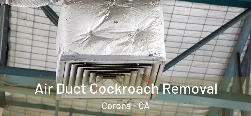  Air Duct Cockroach Removal Corona - CA
