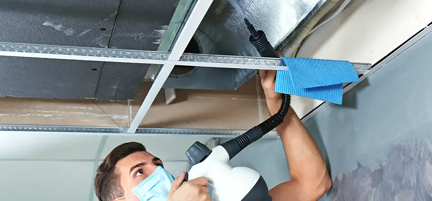Our Air Duct Rodent Removal Services in Corona, CA