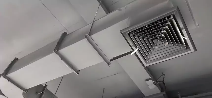 Restorative Allergy Relief Vent Cleaning – Coil, Blower & Housing Detail in Corona