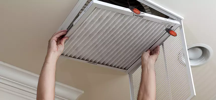Our Insect Removal from Air Ducts Services in Corona, CA