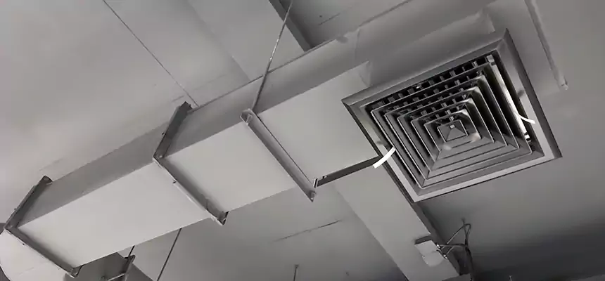 Our Pest Removal From Ducts Services in Corona, CA