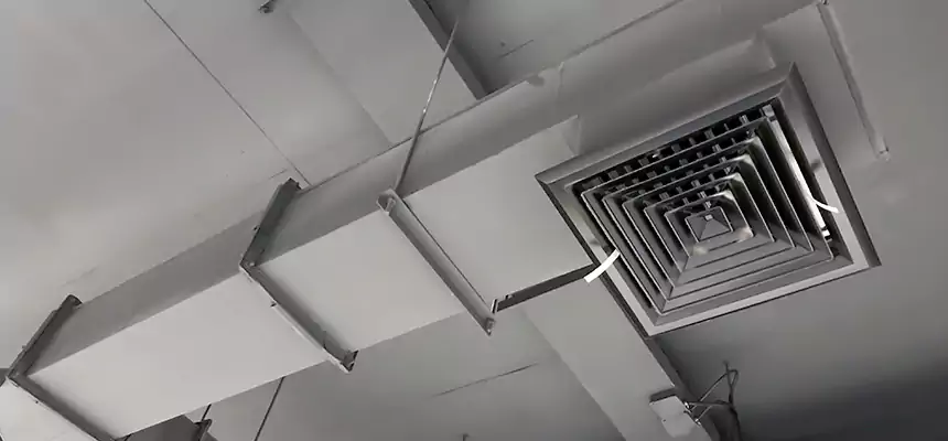 Our Rodent Droppings In Vents Services in Corona, CA