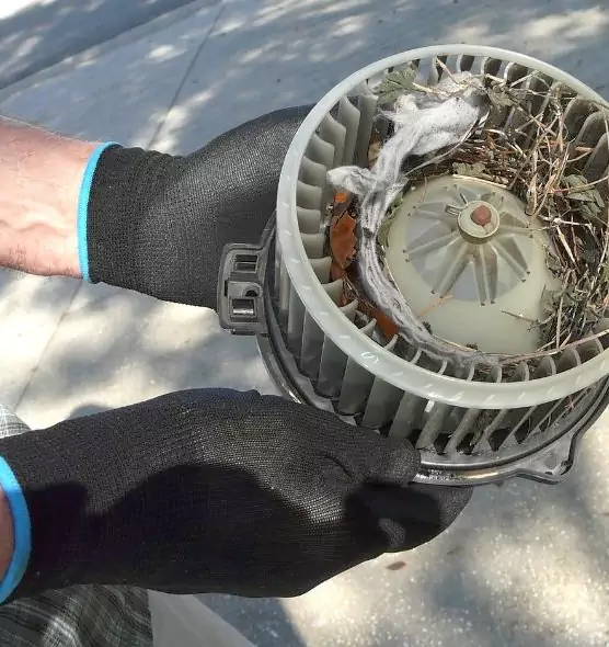 About Air Duct Mice Removal in Corona, CA