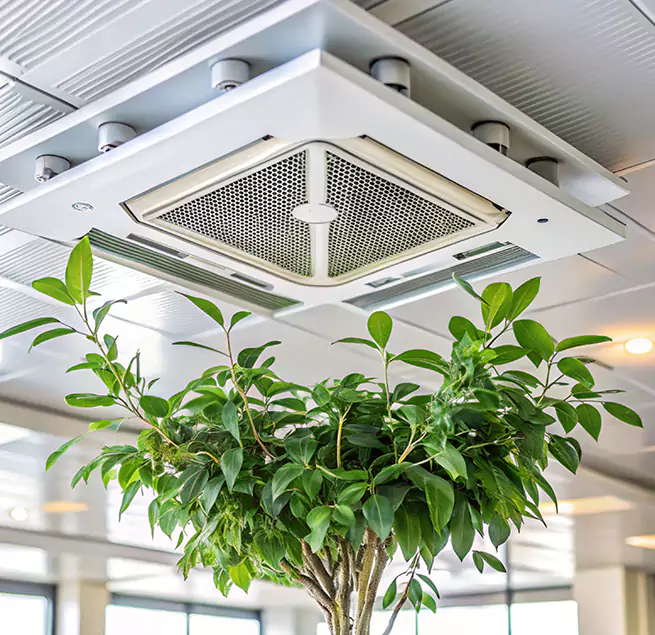 Why Homeowners & Businesses Trust Us in Corona, CA?